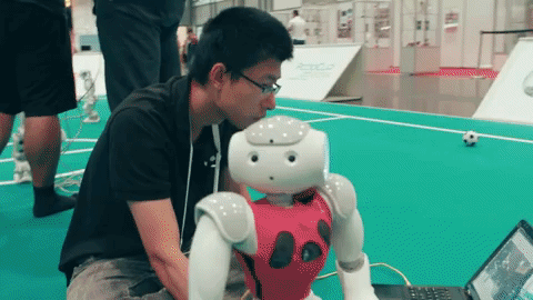 What Has Twenty Years Of RoboCup Taught Us?