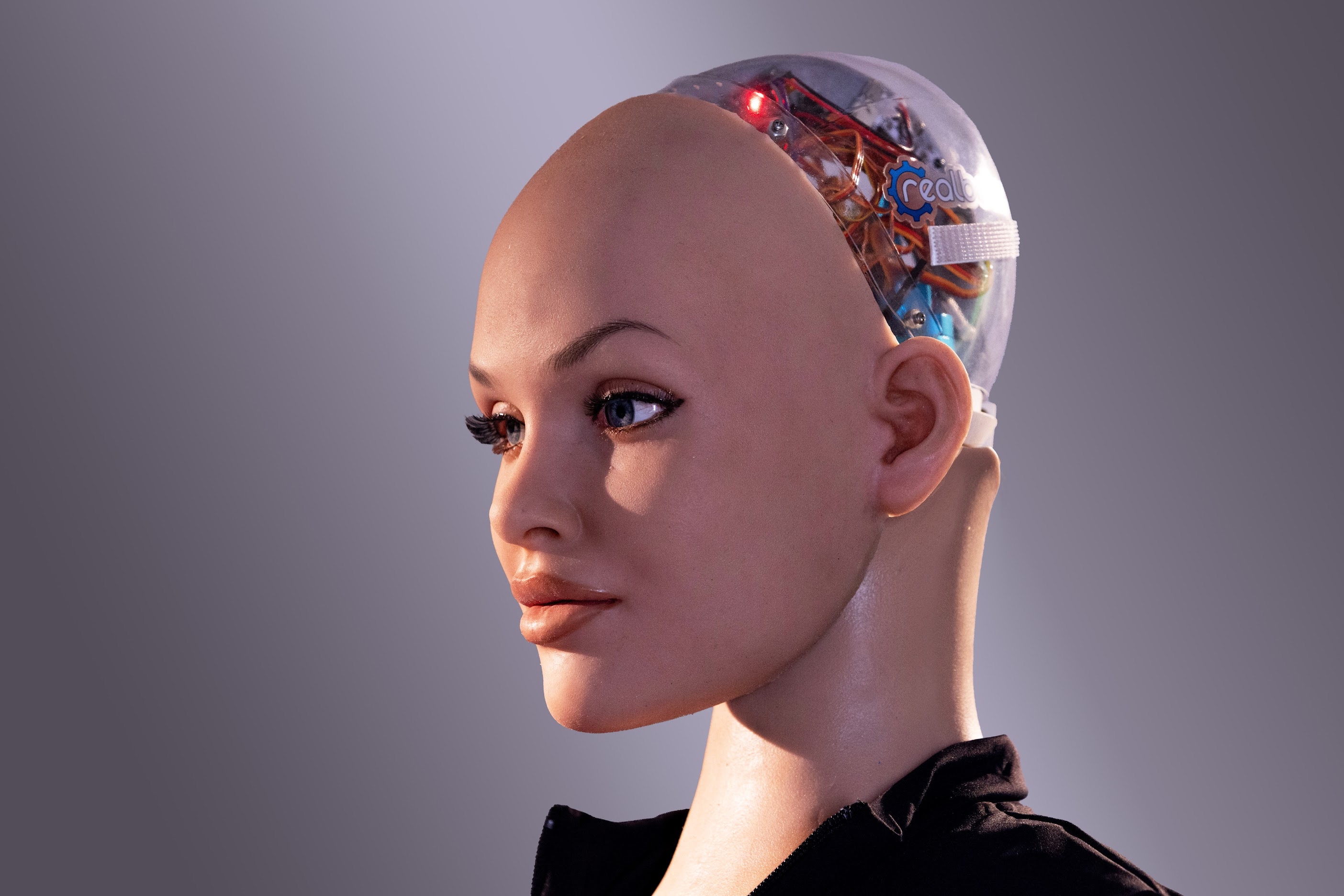 RealBotix’s Transition: From Adult Novelty to Embodied AI